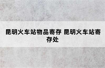 昆明火车站物品寄存 昆明火车站寄存处